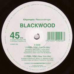 Blackwood I Feel You Vinyl 12" USED