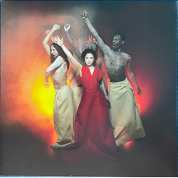 آمال المثلوثي Everywhere We Looked Was Burning Vinyl LP USED