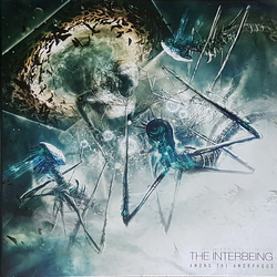 The Interbeing Among The Amorphous Vinyl LP USED