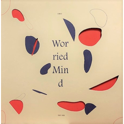 Scott Orr Worried Mind Vinyl LP USED