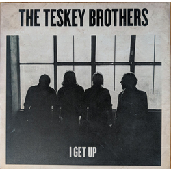 The Teskey Brothers I Get Up Vinyl 7" USED