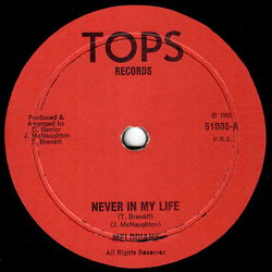 The Melodians Never In My Life Vinyl 12" USED