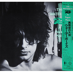The Waterboys A Pagan Place Vinyl LP USED