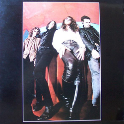 Primal Scream Ivy Ivy Ivy Vinyl 12" USED