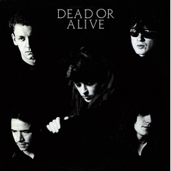 Dead Or Alive It's Been Hours Now Vinyl 12" USED