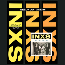 INXS Need You Tonight (Liebrand Remix) Vinyl 12" USED