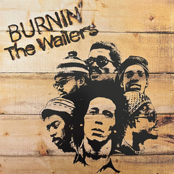 The Wailers Burnin' Vinyl LP USED