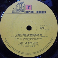 Little Richard Greenwood Mississippi / I Saw Her Standing There Vinyl 7" USED