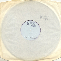 Dtox The Experiment Vinyl 12" USED