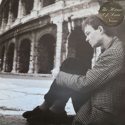 The House Of Love Never Vinyl 12" USED