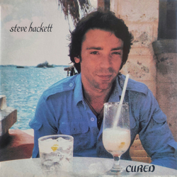 Steve Hackett Cured Vinyl LP USED