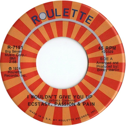 Ecstasy, Passion & Pain I Wouldn't Give You Up / Don't Burn Your Bridges Behind You Vinyl 7" USED