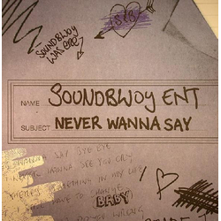 Soundbwoy Ent Never Wanna Say Vinyl 12" USED