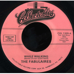The Fabulaires While Walking / No No Vinyl 7" USED
