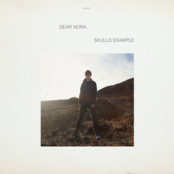 Dear Nora Skulls Example Vinyl LP USED