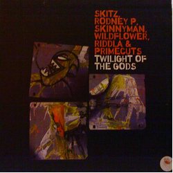 Skitz Twilight Of The Gods Vinyl 12" USED