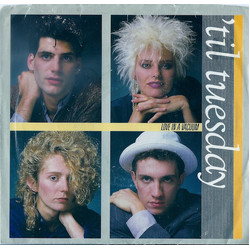 'Til Tuesday Love In A Vacuum Vinyl 7" USED