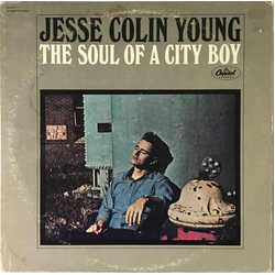 Jesse Colin Young The Soul Of A City Boy Vinyl LP USED