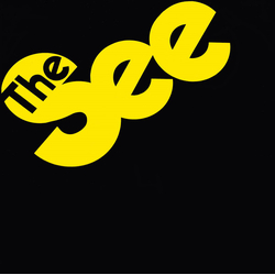The See The See Vinyl 12" USED