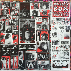 Colin Lloyd-Tucker Mind "Box" Vinyl 12" USED