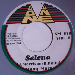 Many More (2) Selena Vinyl 7" USED