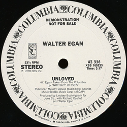 Walter Egan Unloved Vinyl 12" USED