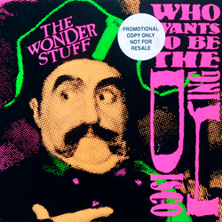 The Wonder Stuff Who Wants To Be The Disco King? Vinyl 7" USED