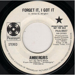 Ambergris (2) Forget It, I Got It USED VINYL 7INCH 45 RPM PROMO