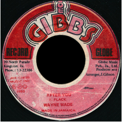 Wayne Wade After You Vinyl 7" USED