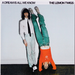 The Lemon Twigs A Dream Is All We Know Vinyl LP USED