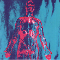 Nirvana Sliver Vinyl 7" USED