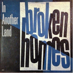 The Broken Homes In Another Land Vinyl 12" USED