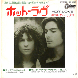 T. Rex Hot Love Vinyl 7" USED