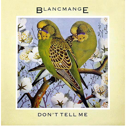 Blancmange Don't Tell Me Vinyl 12" USED