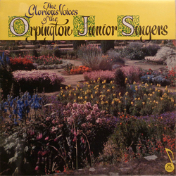 Orpington Junior Singers The Glorious Voices Of The Orpington Junior Singers Vinyl LP USED