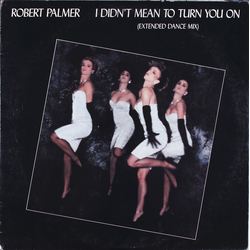 Robert Palmer I Didn't Mean To Turn You On (Extended Dance Mix) Vinyl 12" USED