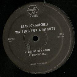 Brandon Edward Mitchell Waiting For A Minute Vinyl 12" USED