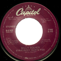 Billy Squier Everybody Wants You Vinyl 7" USED