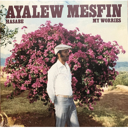 Ayalew Mesfin Hasabe - My Worries Vinyl LP USED