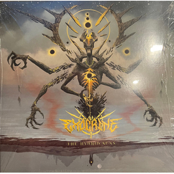 Exocrine The Hybrid Suns Vinyl LP USED