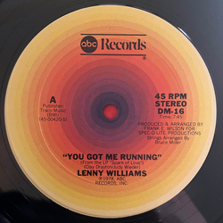 Lenny Williams You Got Me Running Vinyl 12" USED