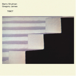 Gregory James / Barry Shulman Tibet Vinyl LP USED