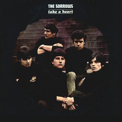 The Sorrows Take A Heart Vinyl LP USED