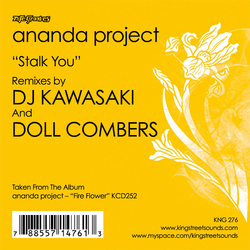 The Ananda Project Stalk You Vinyl 12" USED