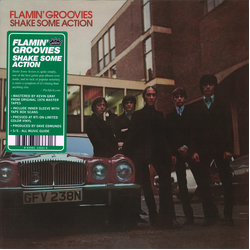The Flamin' Groovies Shake Some Action Vinyl LP USED