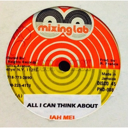 Jahmel / Leroy Smart All I Can Think About / Ruff Mi Ruff Vinyl 12" USED