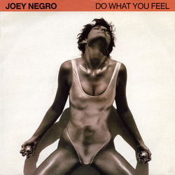 Joey Negro Do What You Feel Vinyl 7" USED