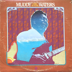 Muddy Waters "Unk" In Funk Vinyl LP USED