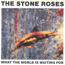The Stone Roses What The World Is Waiting For Vinyl 7" USED