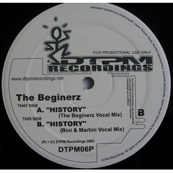 The Beginerz History Vinyl 12" USED